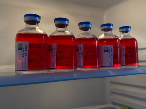 Ветеринариялық препараттарды және оларды сақтау шарттарын тексеру