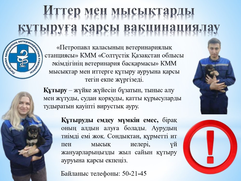 Иттер мен мысықтарды құтыруға қарсы вакцинациялау