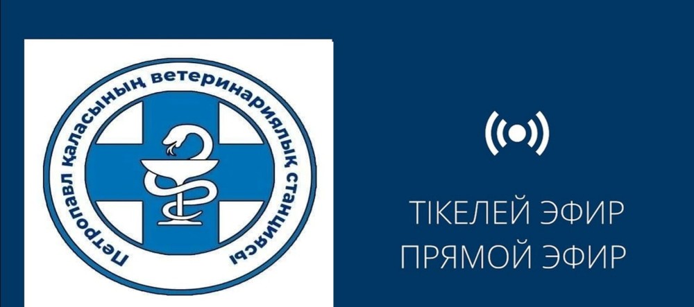 Прямой эфир