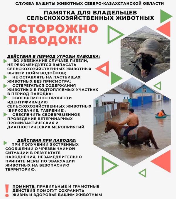 Памятка для владельцев сельскохозяйственных животных «Осторожно паводок!»