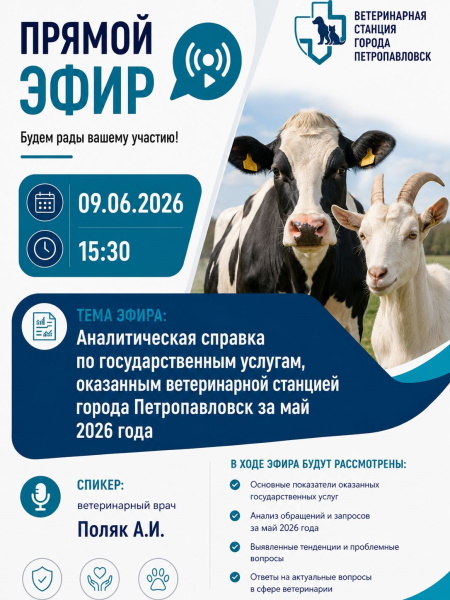 Прямой эфир