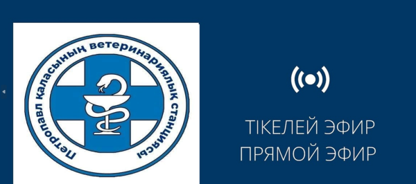 Прямой эфир