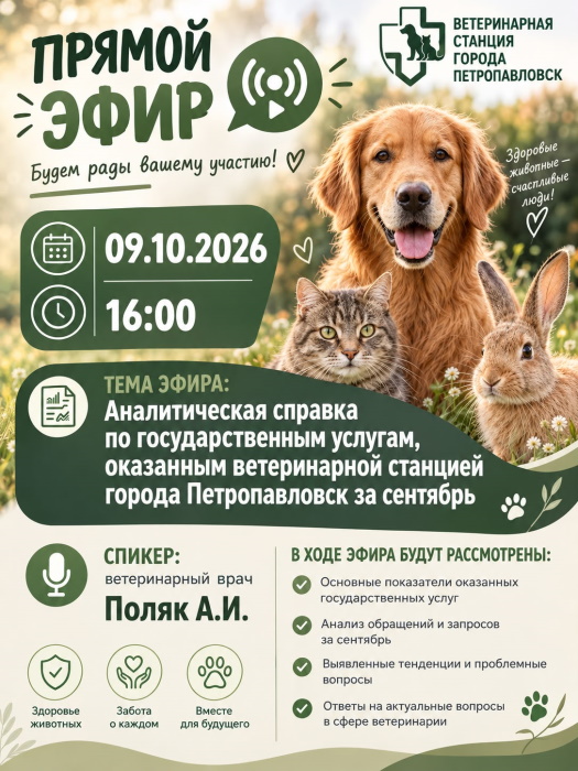Тікелей эфир