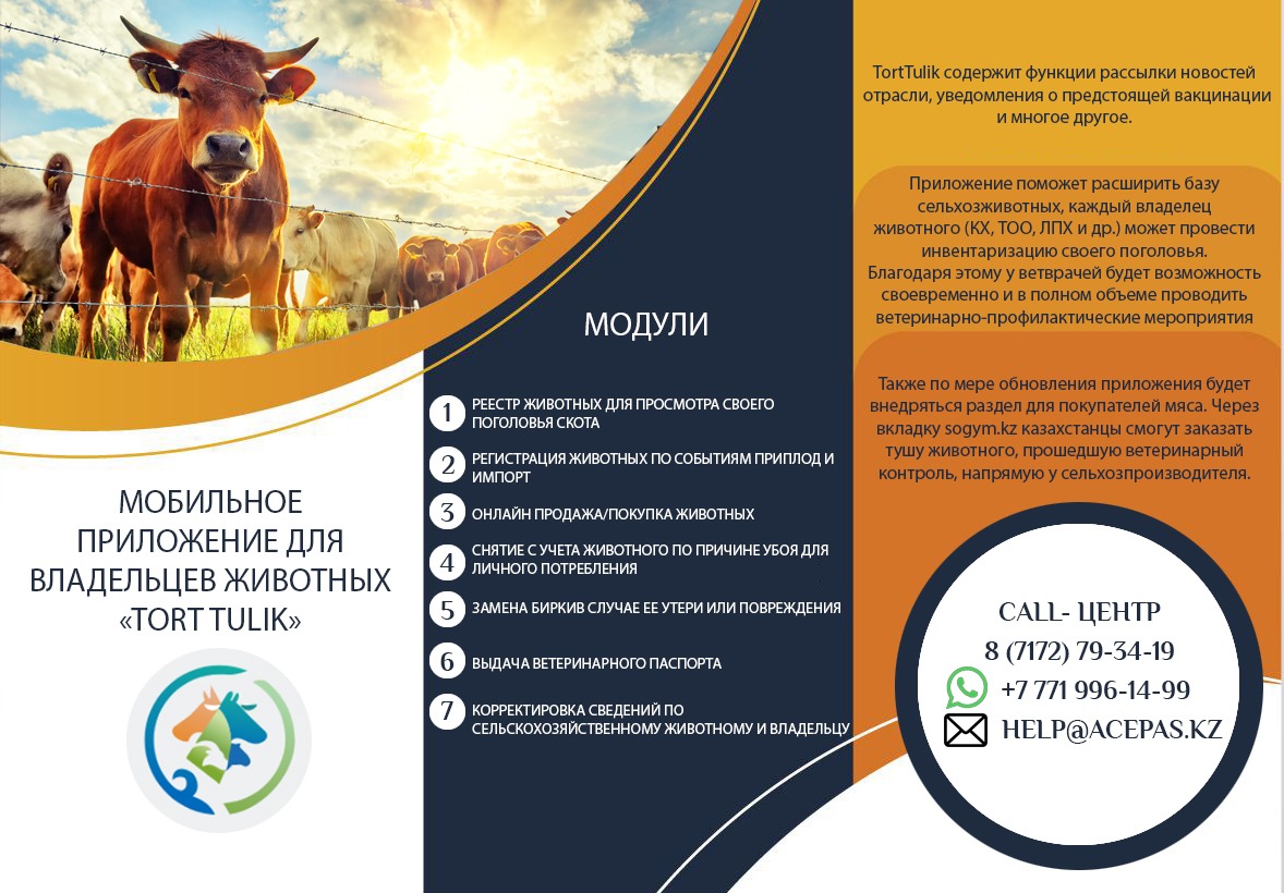 Мобильное приложение для владельцев животных г. Петропавловска «Tort Tulik»