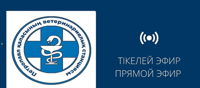 Тікелей эфир