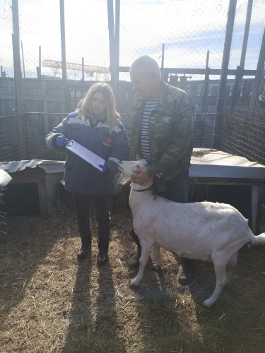 Информация